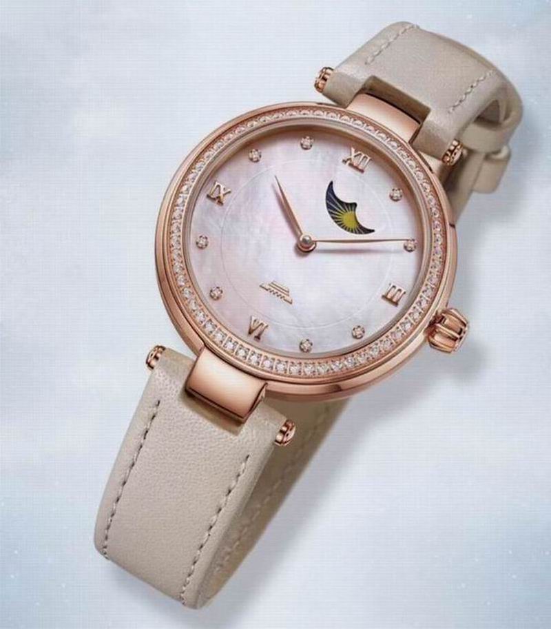 Montre mécanique de luxe Beiji - Sapphire Crystal Display avis et prix